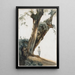 Arbres anciens dans la campagne romaine - Giovanni Costa — quadro incorniciato alla parete