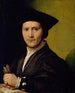 Ritratto di un giovane uomo - Giovanni Francesco Penni — vista dell’opera
