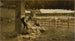 La tosatura delle pecore - Giovanni Segantini — vista dell’opera