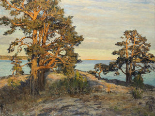 Paesaggio costiero al tramonto - Gottfrid Kallstenius — vista dell’opera