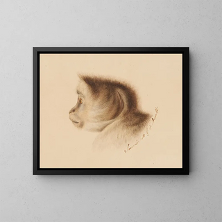 Gottfried Mind - Affe.webp
