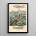 Histoire naturelle 27 volumes - Gottlieb Tobias Wilhelm — quadro incorniciato alla parete