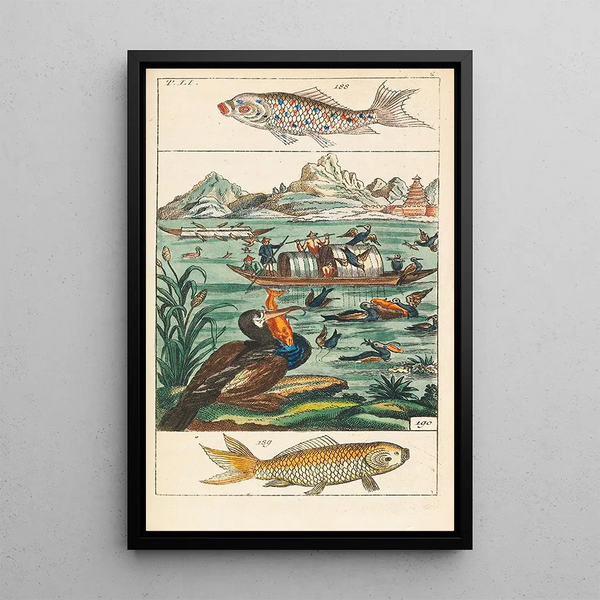 Histoire naturelle 27 volumes - Gottlieb Tobias Wilhelm — quadro incorniciato alla parete