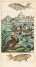 Histoire naturelle 27 volumes - Gottlieb Tobias Wilhelm — vista dell’opera