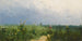 nel campo - Grigory Grigorievich Myasoedov — vista dell’opera