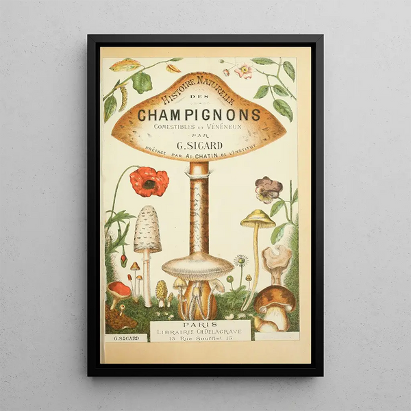 Histoire naturelle des champignons Pl01 - Guillaume Sicard | Reproduction — quadro incorniciato alla parete