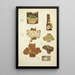 Histoire naturelle des champignons Pl60 - Guillaume Sicard | Reproduction — quadro incorniciato alla parete