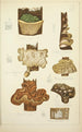 Histoire naturelle des champignons Pl60 - Guillaume Sicard | Reproduction — vista dell’opera