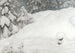 Neve - Gustaf Fjaestad — vista dell’opera