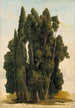 Studio di cipressi - Gustaf Wilhelm Palm — vista dell’opera
