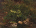 Studio di piante - Gustav Friedrich Papperitz — vista dell’opera