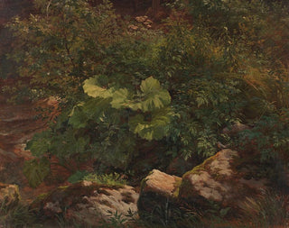 Studio di piante - Gustav Friedrich Papperitz — vista dell’opera