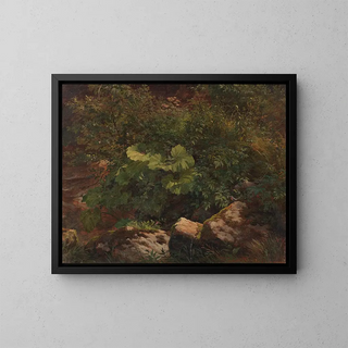 Studio di piante - Gustav Friedrich Papperitz — quadro incorniciato alla parete