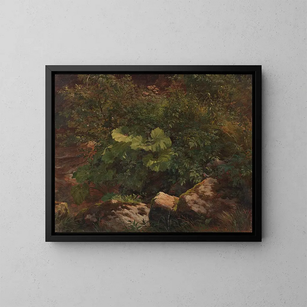 Studio di piante - Gustav Friedrich Papperitz — quadro incorniciato alla parete