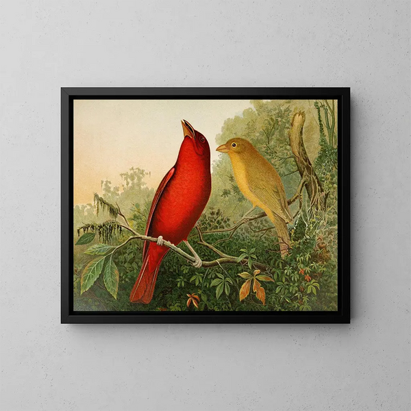 La fauna avicola nordamericana pl20 - Gustav Mützel — quadro incorniciato alla parete