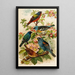 Le monde des oiseaux nord-américains pl28 - Gustav Mützel — quadro incorniciato alla parete