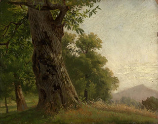 Studio di albero - Gustav Osterroht — vista dell’opera