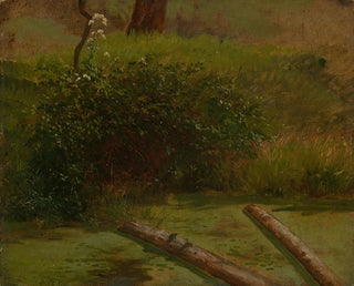 Gustav Osterroht - Blhender Schierling.webp