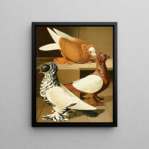 Gustav Prtz - C dasypus.webp