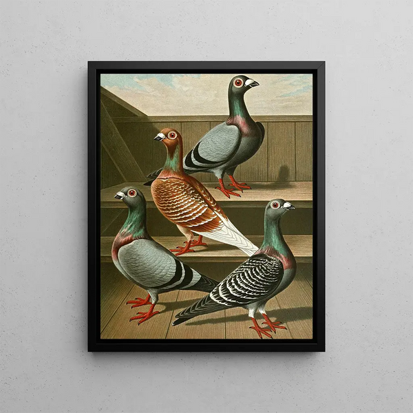 Gustav Prtz - C tabellaria europea.webp