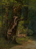 Cervo nella foresta - Gustave Courbet — vista dell’opera