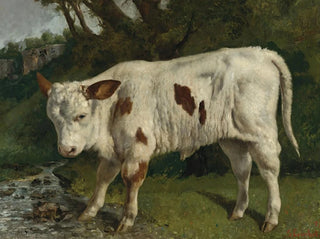 Gustave Courbet - Le Veau Blanc.webp