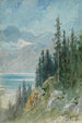 Vue sur il lago di Ginevra vicino a Montreux - Gustave Doré — vista dell’opera