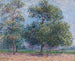 Printemps, alberi di mele in fiore - Gustave Loiseau — vista dell’opera