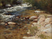 Ruisseau tumultueux - Hamilton Hamilton — vista dell’opera