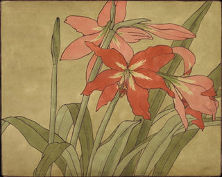 Hannah Borger Overbeck - Amaryllis.webp