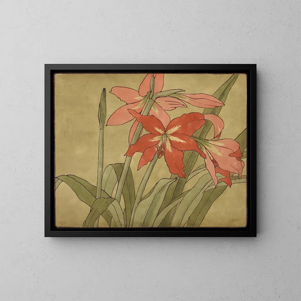 Amaryllis - Hannah Borger Overbeck — quadro incorniciato alla parete