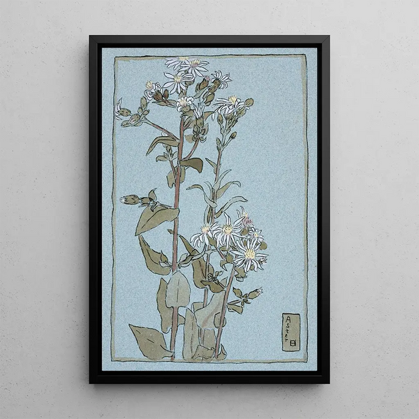 Aster su sfondo verde - Hannah Borger Overbeck — quadro incorniciato alla parete
