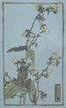 Tasse à feuilles - Hannah Borger Overbeck — vista dell’opera