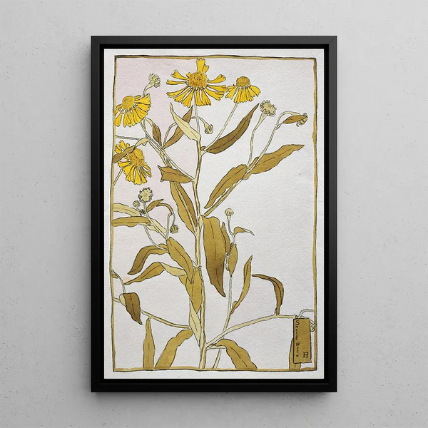 Herbe à éternuer - Hannah Borger Overbeck — quadro incorniciato alla parete