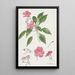 Sultane - Hannah Borger Overbeck — quadro incorniciato alla parete