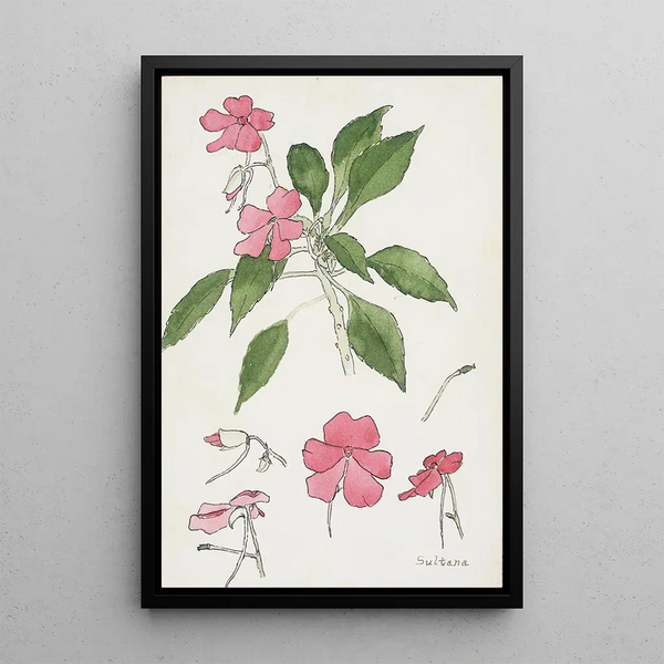 Sultane - Hannah Borger Overbeck — quadro incorniciato alla parete