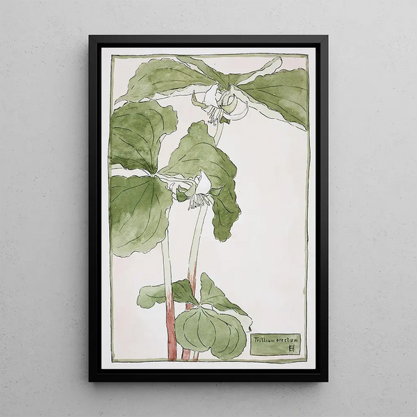 Trille dressé - Hannah Borger Overbeck — quadro incorniciato alla parete