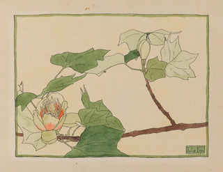 Hannah Borger Overbeck - Tulip Tree.webp