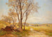 Paesaggio estivo - Hans Divok — vista dell’opera