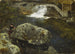 Sul bordo dello stagno del mulino - Hans Gude — vista dell’opera