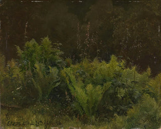Hans Gude - Study of Ferns.webp