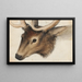 Tête de cerf - Hans Hug Kluber — quadro incorniciato alla parete