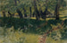 Foresta di castagni vicino a Bignasco - Hans Sandreuter — vista dell’opera