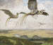 Uccello meraviglioso - Hans Thoma — vista dell’opera
