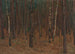 Interno di foresta - Hans Tichy — vista dell’opera
