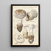 Amanite strobiliformis - Hans Baldung — quadro incorniciato alla parete