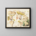 Boletus reticulato - Hans Baldung — quadro incorniciato alla parete