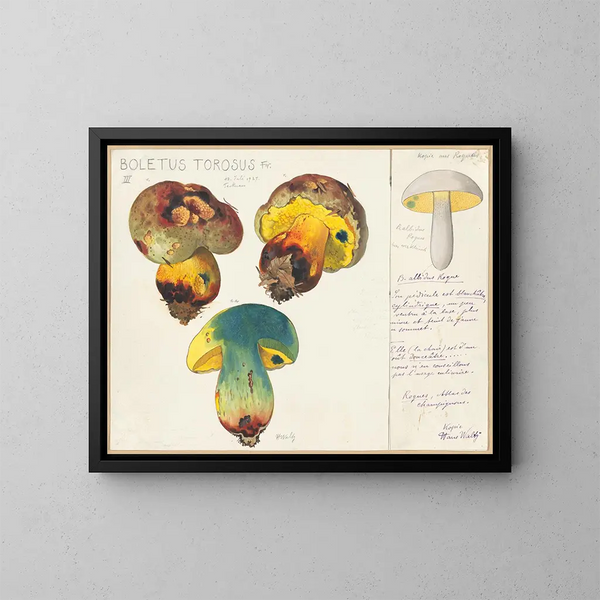 Boletus torosus - Hans Baldung — quadro incorniciato alla parete