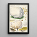 Calvatia maxima Schff Morgan Globaria bovista L - Hans Baldung — quadro incorniciato alla parete