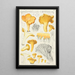 Cantharellus cibarius Fr - Hans Baldung — quadro incorniciato alla parete